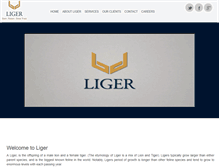 Tablet Screenshot of ligerglobal.com